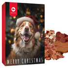 MACED Kalendarz Adwentowy przysmak dla psa mix smaków 145g