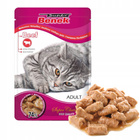 Saszetka Karma mokra dla kota BENEK MIX SMAKÓW 24x100g