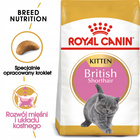 ROYAL CANIN British Shorthair Kitten karma sucha dla kociąt 10 kg