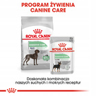 ROYAL CANIN CCN Maxi Digestive Care karma sucha dla psów dorosłych 3 kg