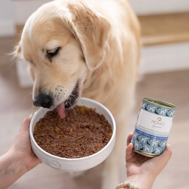 PERRO Gourmet Karma mokra dla psa Konina z korzeniem pietruszki 6 x 800g