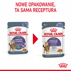 ROYAL CANIN Feline Care Nutrition - Appetite Control Care Jelly 12 x 85 g
