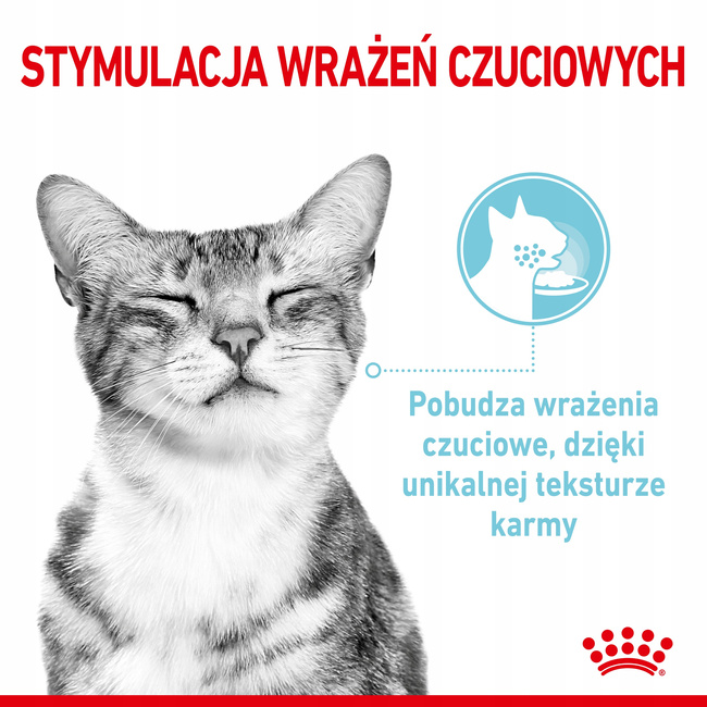 ROYAL CANIN Sensory Feel karma mokra kawałki dla kotów dorosłych 12 x 85 g