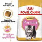 ROYAL CANIN Persian Kitten karma sucha dla kociąt 2 kg