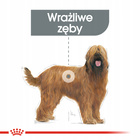 ROYAL CANIN CCN Maxi Dental Care karma sucha dla psów dorosłych 9 kg