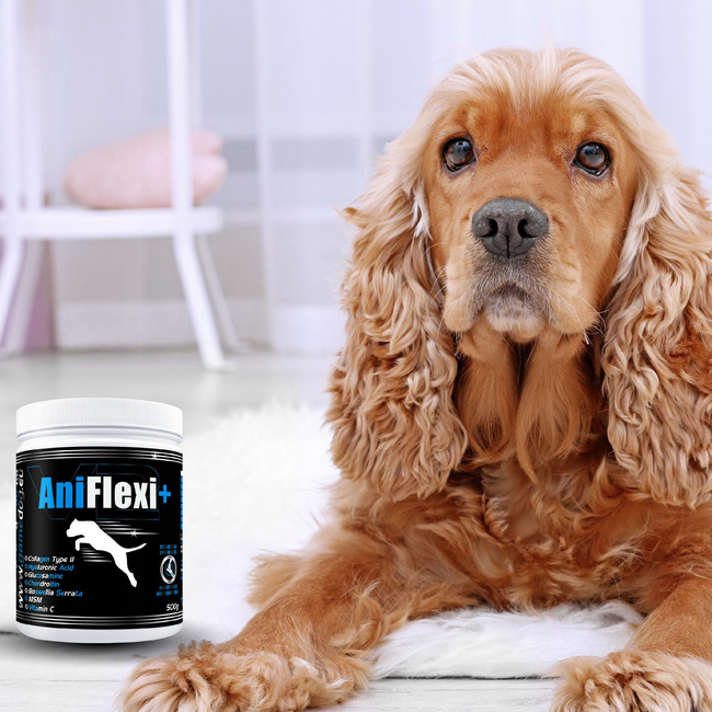 GAME DOG AniFlexi+ V2 Suplement na stawy dla psa 500g