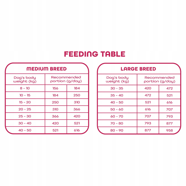 Sucha karma dla psa Gaczoo Daily Wołowina 10 kg Adult Dog z Witaminami