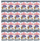 ROYAL CANIN Appetite Control Jelly karma mokra galaretka dla kota 24 x 85g