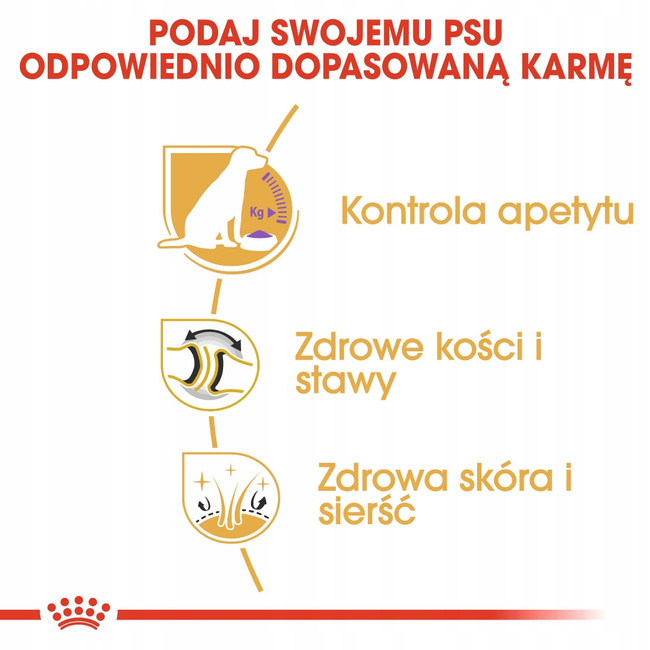 ROYAL CANIN Labrador Retriever Sterilised Adult karma sucha 12 kg