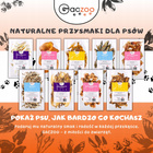 GACZOO 100% Naturalny przysmak dla psa Ucho Wieprzowe rozmiar M 10 szt gryzak