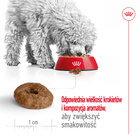 ROYAL CANIN Mini Ageing 12+ karma sucha dla psów dojrzałych 1,5 kg