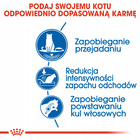 ROYAL CANIN Indoor Appetite Control karma sucha dla kotów dorosłych 2 kg