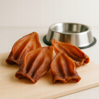 GACZOO 100% Naturalny przysmak dla psa Ucho Wieprzowe Duże XL 1 szt