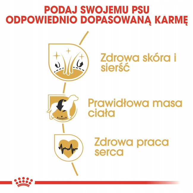 ROYAL CANIN Cocker Spaniel Adult karma sucha dla psów dorosłych 12 kg