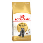 ROYAL CANIN British Shorthair karma sucha dla kotów dorosłych 10 kg