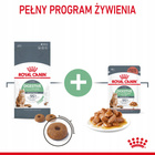 ROYAL CANIN Feline Care Nutrition Relaunch - Digestive Care - Dry 4 kg