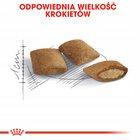 ROYAL CANIN Ageing +12 karma sucha dla kotów dojrzałych 2 kg