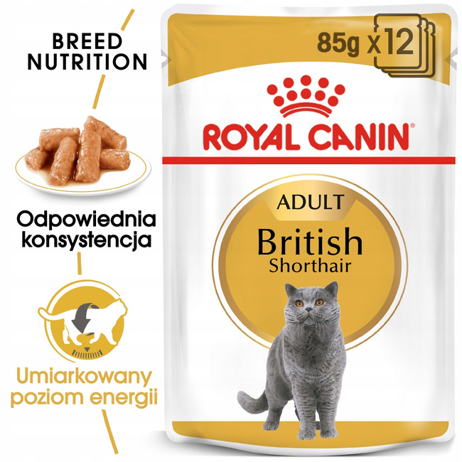 ROYAL CANIN British Shorthair Gravy karma mokra w sosie dla kotów 24 x 85g