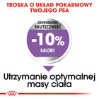 ROYAL CANIN CCN Medium Sterilised karma sucha dla psów dorosłych 12 kg