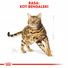 ROYAL CANIN Bengal Adult karma sucha dla kotów dorosłych rasy Bengal 2kg