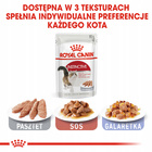 ROYAL CANIN Instinctive pasztet karma mokra dla kotów dorosłych 12 x 85 g