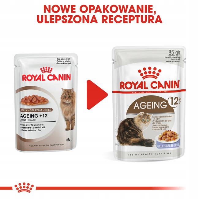 ROYAL CANIN Ageing +12 karma mokra dla kotów dojrzałych Jelly 12 x 85 g