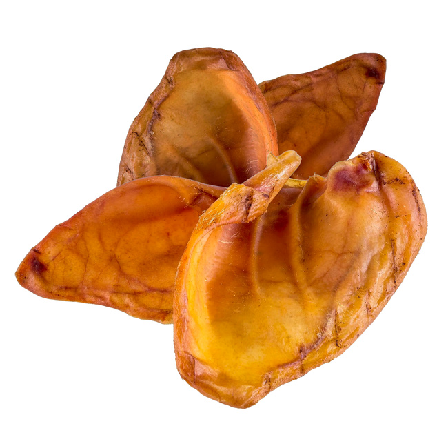 GACZOO 100% Naturalny przysmak dla psa Ucho Wieprzowe Duże XL 20 sztuk smakołyk