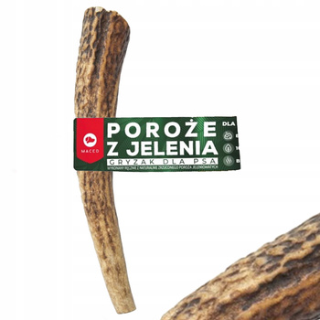 MACED POROŻE z Jelenia Gryzak Naturalny dla psa rozm L