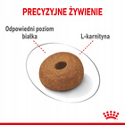 ROYAL CANIN Maxi Light Care karma sucha dla psów dorosłych 12 kg