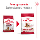 ROYAL CANIN Medium Ageing 10 + karma sucha dla psów dojrzałych 15 kg