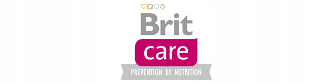 Brit Care Kitten 2 kg Chicken Turkey sucha karma dla kociąt