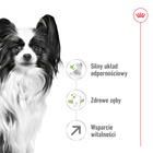 Royal Canin X-small Adult 8+ karma sucha dla psów dojrzałych 1,5 kg