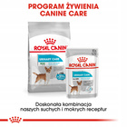 ROYAL CANIN CCN Mini Urinary Care karma sucha dla psów dorosłych 1 kg