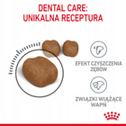 ROYAL CANIN Feline Care Nutrition Relaunch - Dental Care - Dry 8 kg