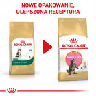 ROYAL CANIN Maine Coon Kitten karma sucha dla kociąt, do 15 miesiąca 4 kg
