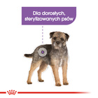 ROYAL CANIN CCN Mini Sterilised karma sucha dla psów dorosłych 3 kg