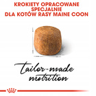 ROYAL CANIN Maine Coon Adult karma sucha dla kotów dorosłych 0,4 kg
