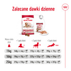 ROYAL CANIN Medium Ageing 10 + karma sucha dla psów dojrzałych 15 kg