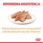 ROYAL CANIN Pomeranian Adult karma mokra pasztet 12 x 85 g