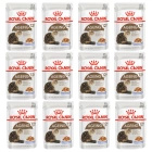 ROYAL CANIN Ageing +12 karma mokra dla kotów dojrzałych Jelly 12 x 85 g
