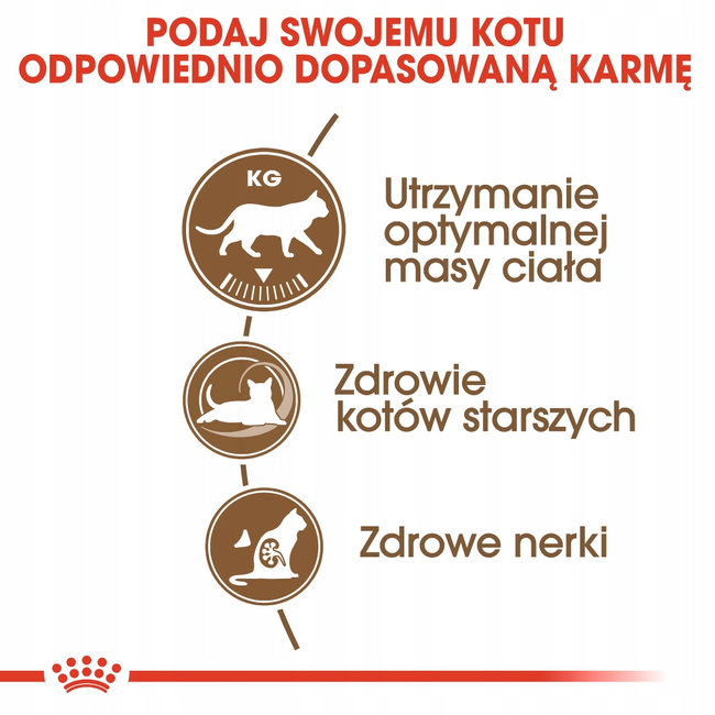 ROYAL CANIN Ageing +12 karma sucha dla kotów sterylizowanych 4 kg