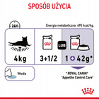 ROYAL CANIN Feline Care Nutrition - Appetite Control Care Gravy 12 x 85 g