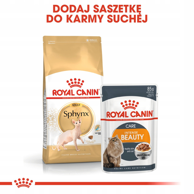 ROYAL CANIN Sphynx Adult karma sucha dla kotów dorosłych rasy sfinks 10 kg