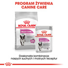 ROYAL CANIN CCN Mini Relax Care karma sucha dla psów dorosłych 8 kg