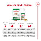 ROYAL CANIN Mini Ageing 12+ karma sucha dla psów dojrzałych 3,5 kg