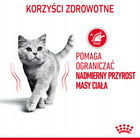 ROYAL CANIN Light Weight Gravy karma mokra w sosie dla kota 24 x 85g