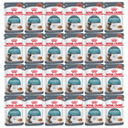 ROYAL CANIN Hairball Gravy karma mokra w sosie dla kota 24 x 85g