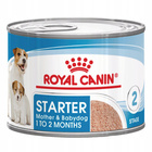 ROYAL CANIN Starter Mother and Babydog Mousse - karma mokra 12 x 195 g