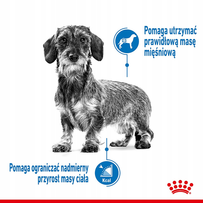ROYAL CANIN Mini Light Care karma sucha dla psów dorosłych, ras małych 3 kg