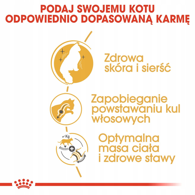 ROYAL CANIN Norvegian Forest Cat Adult karma sucha dla kotów dorosłych 2 kg
